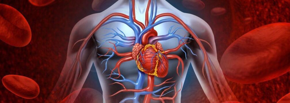 Les maladies cardiaques sont à l’origine de douleurs thoraciques qui s’étendent jusqu’au cou